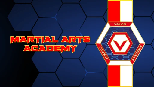 Valor Combat Systems Martial Arts Academy: Newport